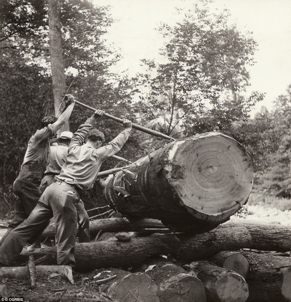 Loggers (1930s)